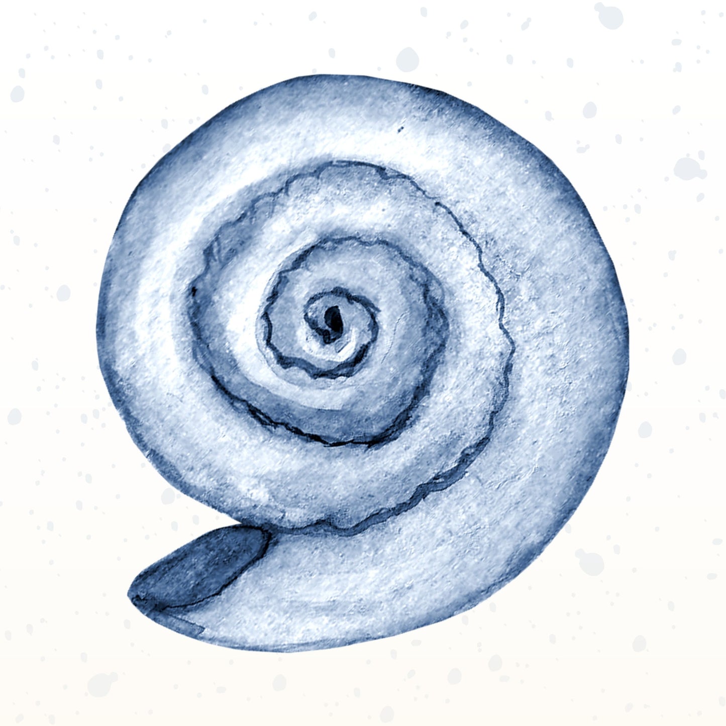 Navy spiral shell coastal digital wall art printable download